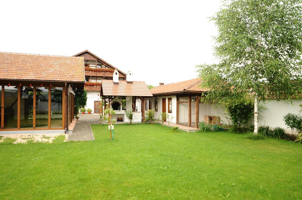 Pensiunea Tohanu Vechi Zarnesti Exterior foto