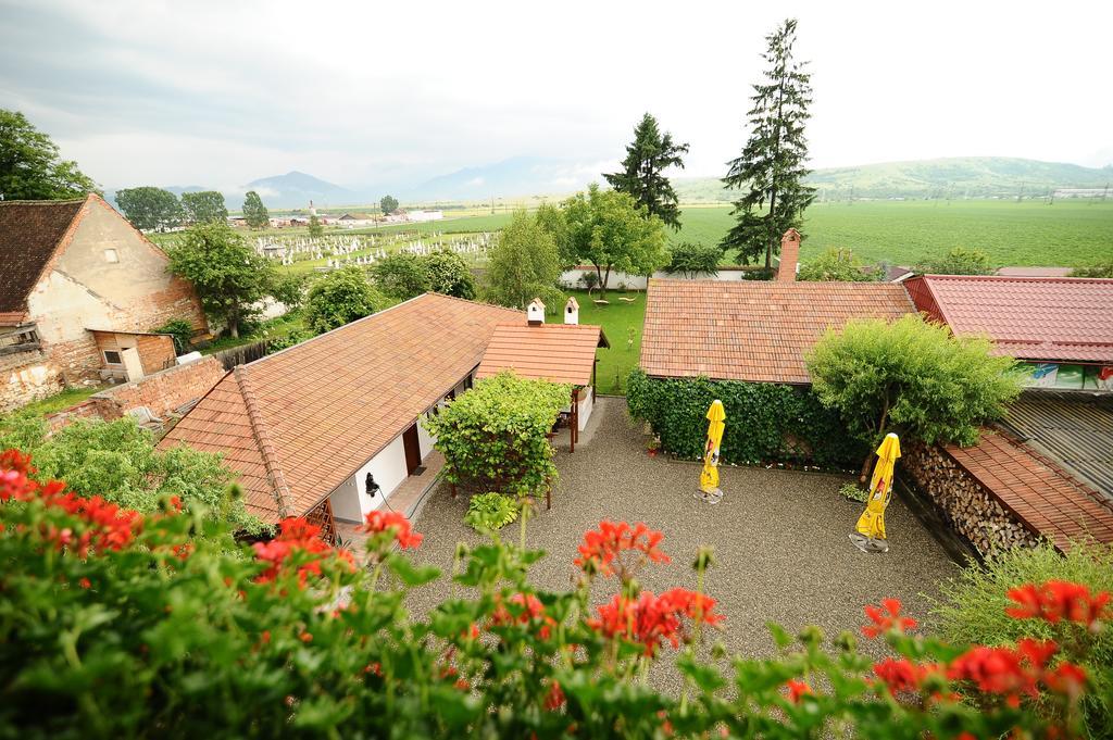 Pensiunea Tohanu Vechi Zarnesti Exterior foto